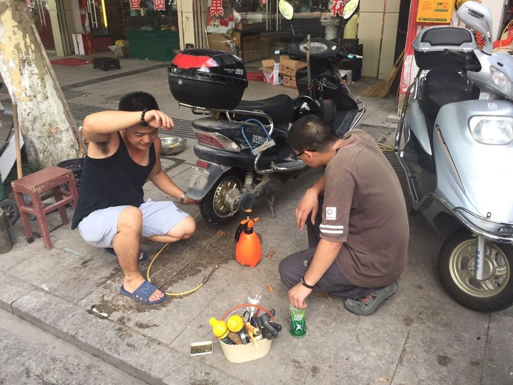 17773804_088768 17773804_088768